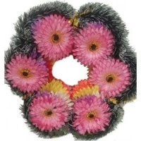 РИТУАЛЬНЫЙ ВЕНОК "СОЛНЦЕ" ГЕРБЕРА С ТЕМНОЙ СЕРЕДИНКОЙ (0512-1)