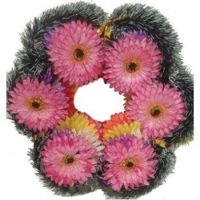 РИТУАЛЬНЫЙ ВЕНОК "СОЛНЦЕ" ГЕРБЕРА С ТЕМНОЙ СЕРЕДИНКОЙ (0512-1)