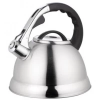 Чайник MAESTRO MR-1328