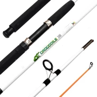 Спиннинговое удилище шт2 Winner Crocodile (без закрутки) 100-250g 2.4м *