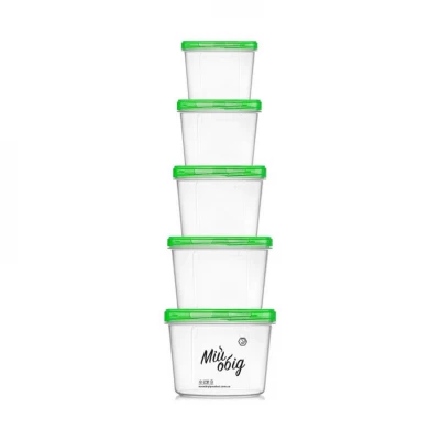 Набор пищевых контейнеров "Мой обед" 5шт. 0,2+0,3+0,5+0,7+1л