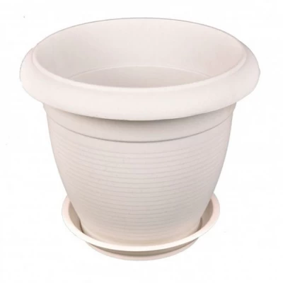 Цветочники Рим №8 Цветочники Рим №8