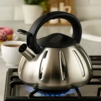 Чайник со свистком 3.0 л A-PLUS 1336-WK, нержавеющая сталь, серебристый