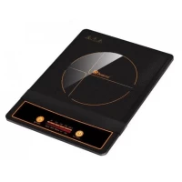 Индукция MS-5832