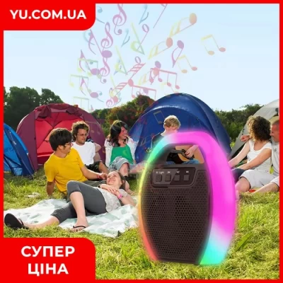 Колонка мини-чемодан ESS-109B от сети и от аккумулятора с USB, SD, FM, AUX, Bluetooth