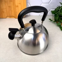 Чайник со свистком из нержавейки 2 л 1373-WK А-П