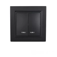 Выключатель с подсветкой двойной Графит