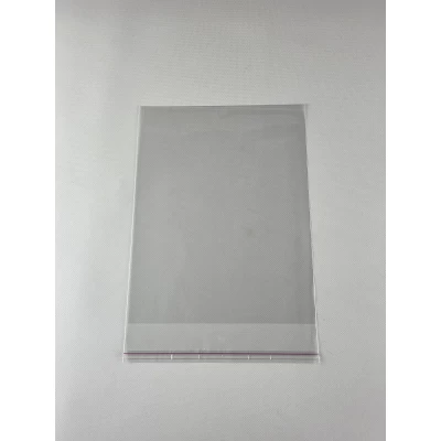 Пакет прозрачный полипропиленовый + скотч  20*26+4/25мк +скотч (1000 шт)