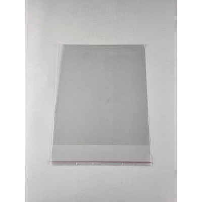 Пакет прозрачный полипропиленовый размер  22*25+4/25мк + скотч (1000 шт)