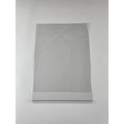 Пакет прозрачный полипропиленовый + скотч  23*30+4/25мк +скотч (1000 шт)