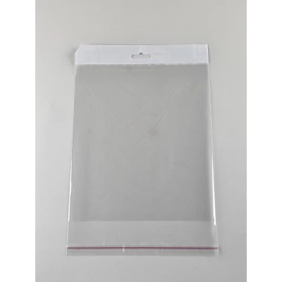 Пакет прозрачный полипропиленовый + скотчк  20*23+4/25мк +скотч(+еврослот3,5) (1000 шт)