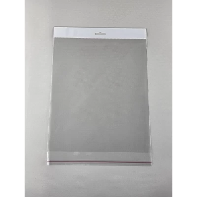 Пакет прозрачный полипропиленовый + скотчк  25*30+4/25мк +скотч(+еврослот3,5) (1000 шт)