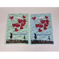 Пакеты с вырубной ручкой (28*42)