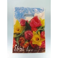 Пакет с прорезной ручкой размер 25*35 