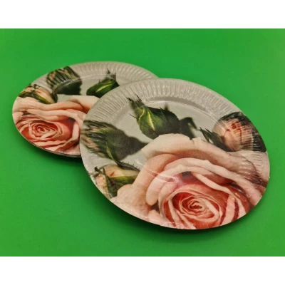 Бумажная тарелка с рисунком  18см