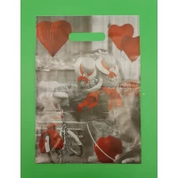 Пакеты с вырубной ручкой (25*35+3)