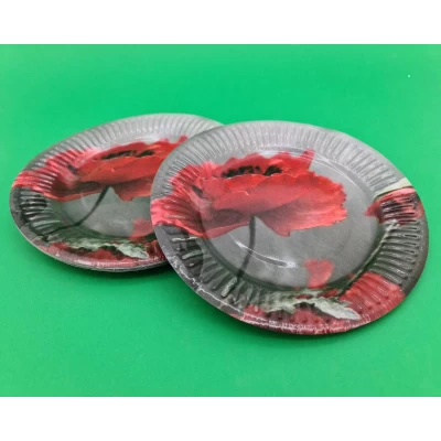 Бумажная тарелка с рисунком  18см