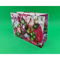 Бумажный большой горизонтальный пакет  36/22/10(артBG-039) (12 шт)