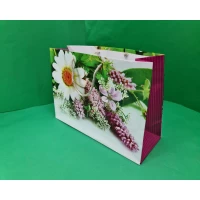 Бумажный большой горизонтальный пакет  36/22/10(артBG-086) (12 шт)