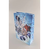 Новогодние пакеты для подарков, средний 17x26x8-018 (12 шт) Новогодние пакеты для подарков, средний 17x26x8-018 (12 шт)