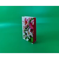 Бумажный пакет подарочный Средний 17/26/8 (артSV-177) (12 шт)