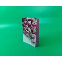 Бумажный пакет подарочный Средний 17/26/8 (артSV-100) (12 шт)