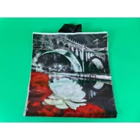 Пакет 46*49 петлевая ручка Вечерний Город Комсерв (25 шт)