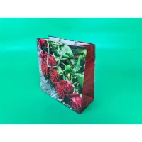 Пакет бумажный подарочный квадратный 23*24*10(артKV-208) (12 шт)