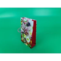 Пакет бумажный подарочный малый 11/18/5(арт М145) (12 шт)