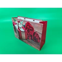 Бумажный большой горизонтальный пакет  36/22/10(артBG-136) (12 шт)