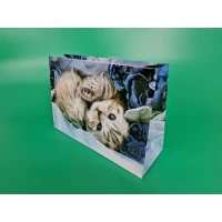 Бумажный большой горизонтальный пакет  36/22/10(артBG-121) (12 шт)