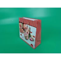 Пакет бумажный подарочный квадратный 23*24*10(артKV-220) (12 шт)