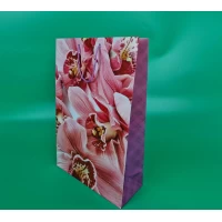 Пакет бумажный гигант вертиркальный (30х42х12)(артGV-094) (12 шт) Пакет бумажный гигант вертиркальный (30х42х12)(артGV-094) (12 шт)