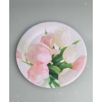 Тарелка бумажная 23см