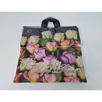 Пакет с петлевой ручкой  (38*34) 