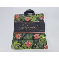 Пакет с петлевой ручкой 40*42 