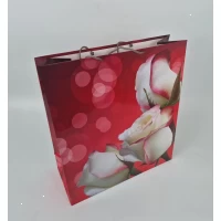 Пакет бумажный Супер 47x52x20(артS-002) (12 шт)