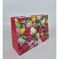 Бумажный пакет горизонтальный гигант 46*33*15 (артGG-020) (12 шт)