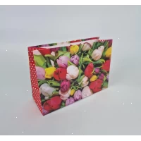 Бумажный большой горизонтальный пакет  36/22/10(артBG-037) (12 шт)