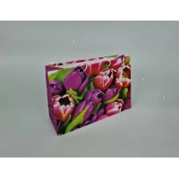 Бумажный большой горизонтальный пакет  36/22/10(артBG-043) (12 шт)