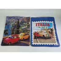 Пакет с прорезной ручкой (45*53+)