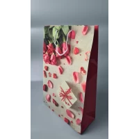 Пакет бумажный гигант вертиркальный (30х42х12)(артGV-051) (12 шт)