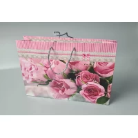 Бумажный большой горизонтальный пакет  36/22/10(артBG-063) (12 шт)