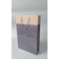 Большой бумажный пакет вертикальный  25/37/8(артBV-201) (12 шт)