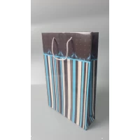 Большой бумажный пакет вертикальный  25/37/8(артBV-203) (12 шт)