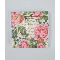 Салфетки бумажнае  (ЗЗхЗЗ, 18шт)