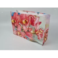 Бумажный пакет горизонтальный гигант 46*33*15 (артGG-039) (12 шт)