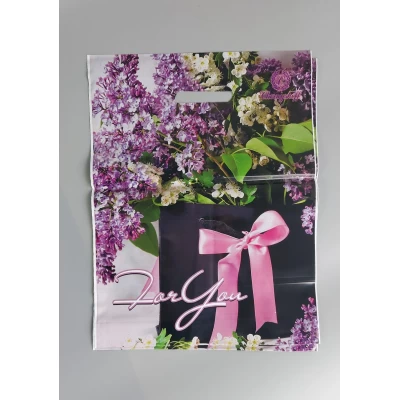 Пакеты с вырубной ручкой (29*37)