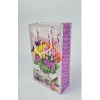 Бумажный пакет подарочный Средний 17/26/8(артSV-149 ) (12 шт)