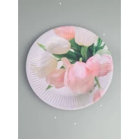 Бумажная тарелка с рисунком  18см